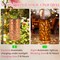 Mothers Day Gifts for Mom, Birthday Gifts Grandma Ladies Solar Lanterns Outdoor Hanging Hollowed-Out Metal Waterproof LED Garden Decor Outside for Patio Yard Porch, Dragonfly, 1 Pack